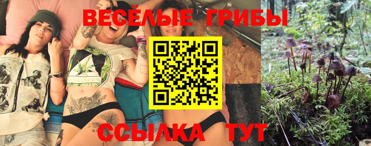Псилоцибиновые грибы Cubensis Лыткарино