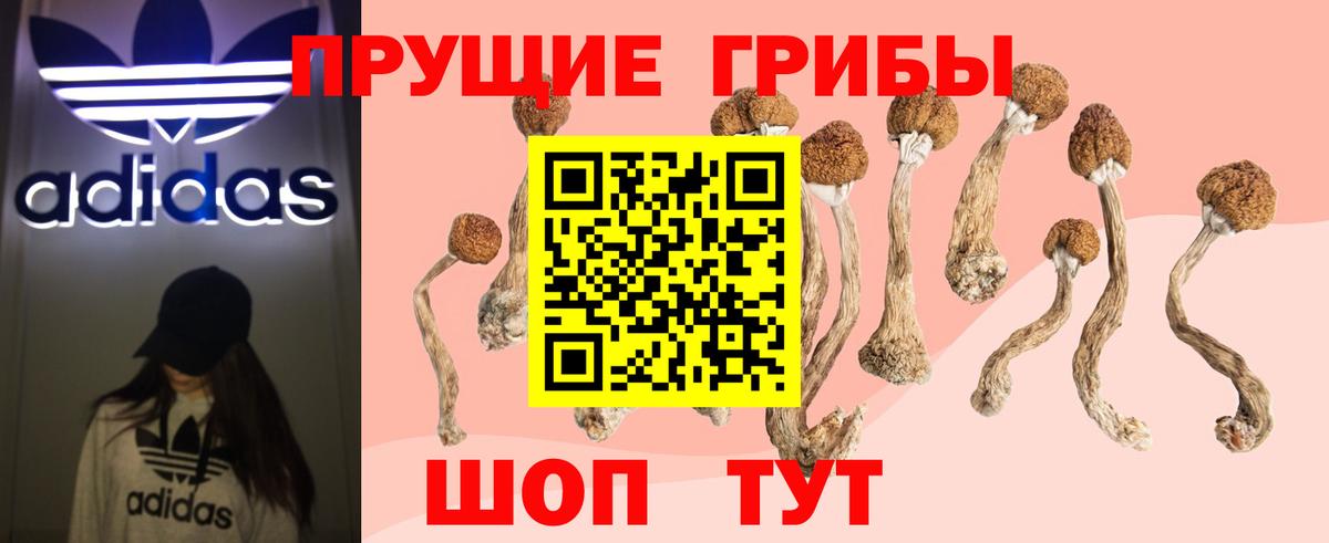 Лыткарино  Галлюциногенные грибы Magic Shrooms  Вход с VPN  Псилоцибиновые грибы Psilocybe 